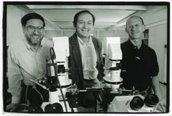 From left to right: Prof. Samuel Safran, Dr. Alexander Bershadsky and Prof. Elisha Moses